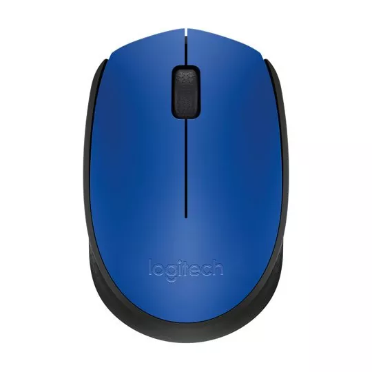 Mouse Logitech M170